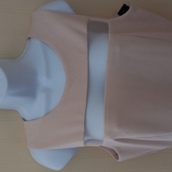 NWT Lulus Sheer Determination Mesh Skater Dress Sleeveless Peach  Size XL - Picture 2 of 8